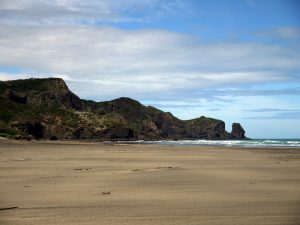 Bethells Beach