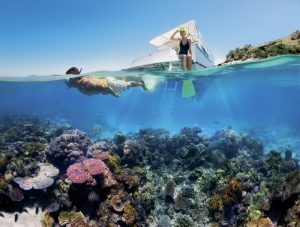 Sir Bani Yas Island Snorkeling